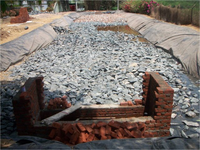 Ecology conservation programme in Nhava through the Marine Museum